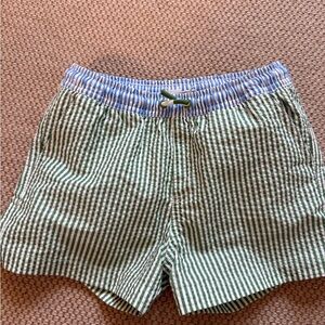 Zara Green and Blue Striped Swim trunks